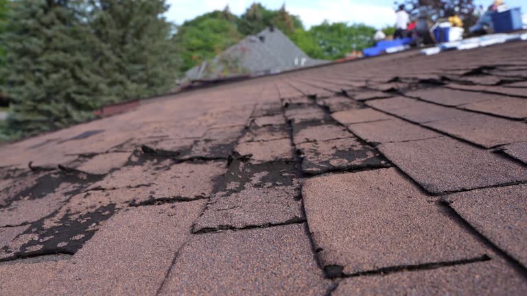 Best Gutter Installation and Repair  in Follansbee, WV