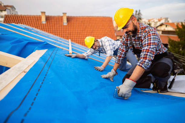 Best Roof Maintenance and Cleaning  in Follansbee, WV
