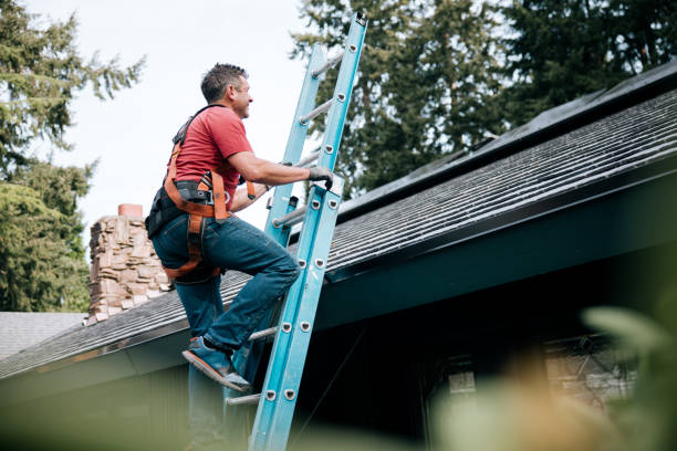 Best Roof Moss and Algae Removal  in Follansbee, WV
